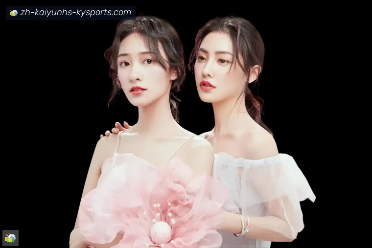 开云APP全站APP